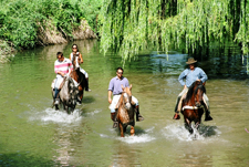 Spain-Central Spain-Vineyard Trail - Ruta del Vino
